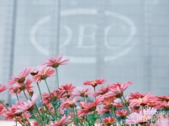 東方電氣成功實(shí)施超十億港元配售